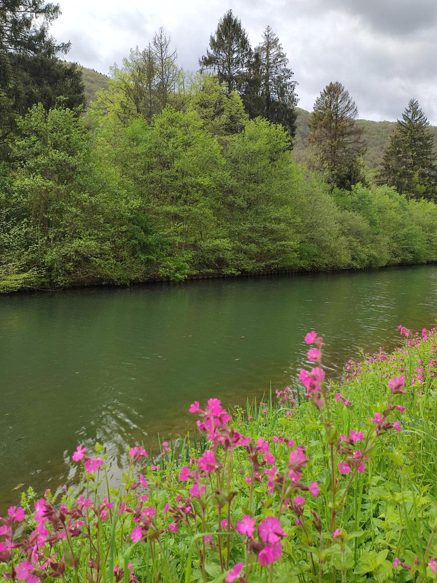 Entre Meuse Et Foret Revin  Luaran gambar